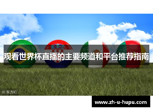 观看世界杯直播的主要频道和平台推荐指南 观看世界杯直播的主要频道和平台推荐指南