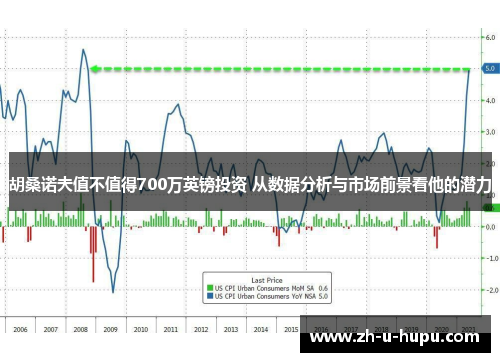 胡桑诺夫值不值得700万英镑投资 从数据分析与市场前景看他的潜力