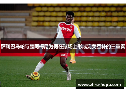 萨利巴乌帕与楚阿梅尼为何在球场上形成完美互补的三重奏